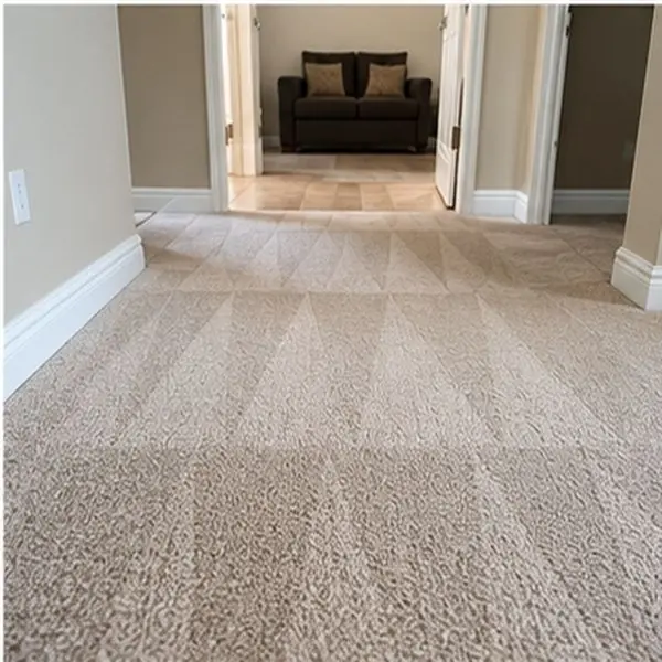 Carpet cleaning results in Kealba VIC